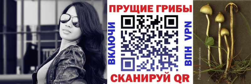 Псилоцибиновые грибы ЛСД Мамоново
